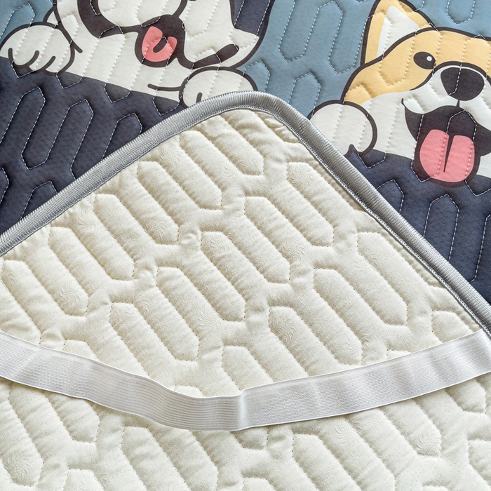 91家纺网 家纺一手货源 找家纺 富馨莱 2025新款A类凉感丝空气纤维凉席学生款 柯基