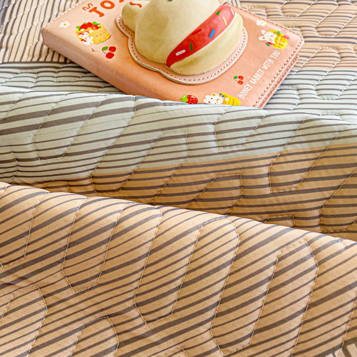 91家纺网 家纺一手货源 找家纺 富馨莱 2025新款A类凉感丝空气纤维凉席学生款 小确幸