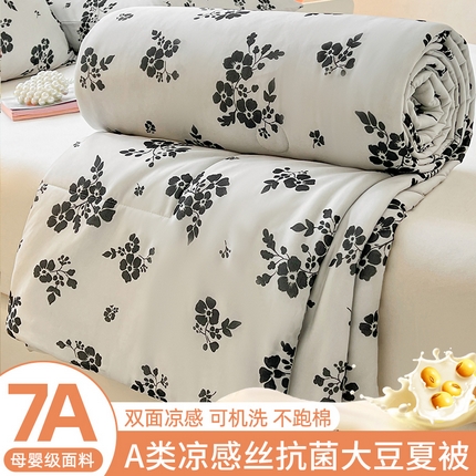 欢乐季  2025新款7A抗菌凉感丝大豆夏被 岚庭序