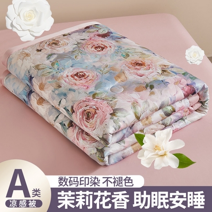 91家纺网 家纺一手货源 找家纺 兴邦 2026新款直播爆款夏被花香凉感数码印花夏凉被空调被可机洗被芯 潇湘物语