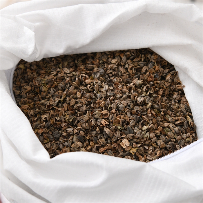 91家纺网 家纺一手货源 找家纺 （总）芯洲 2025新款荞麦枕凉感冰豆豆卡通学生可爱荞麦枕芯护颈枕头