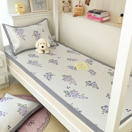 91家纺网 家纺一手货源 找家纺 （总）川悦生活2025新款600D立体宽边印花冰丝席学生床