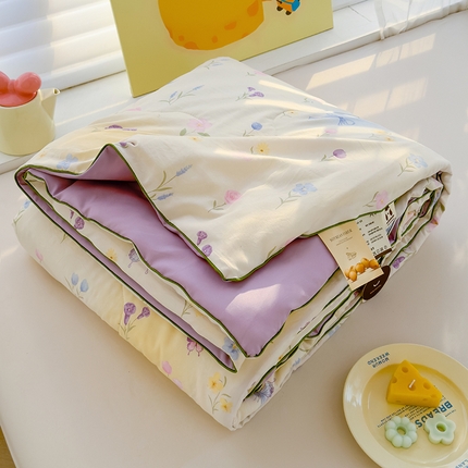 弗苓家纺 2025新款A类皱皱纱印花夏被 南风轻拂