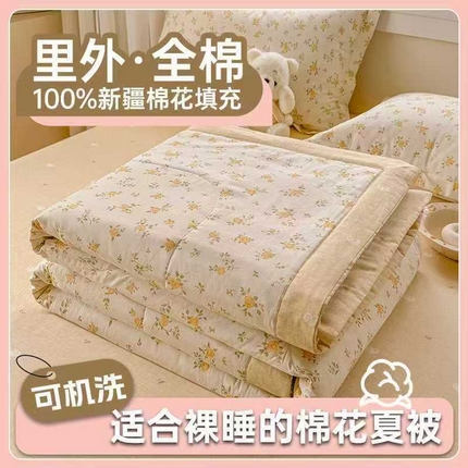 91家纺网 家纺一手货源 找家纺 （总）梦依依 2025新款小清新印花系列里外全棉棉花被夏被四件套