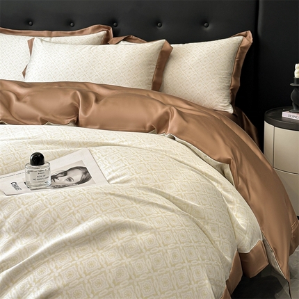 91家纺网 家纺一手货源 找家纺 （总）DC 2025新款B类天丝印花四件套