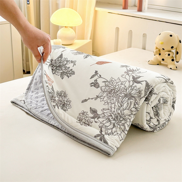 91家纺网 家纺一手货源 找家纺 雯豆2025春夏新款凉感丝夏被空调被子印花A类卡通小清新夏被 冰丝夏被四件套-笔墨书香