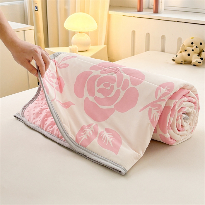 91家纺网 家纺一手货源 找家纺 雯豆2025春夏新款凉感丝夏被空调被子印花A类卡通小清新夏被 冰丝夏被四件套-温语