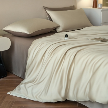 91家纺网 家纺一手货源 找家纺 （总）DC 2025新款B类60支天丝双拼四件套