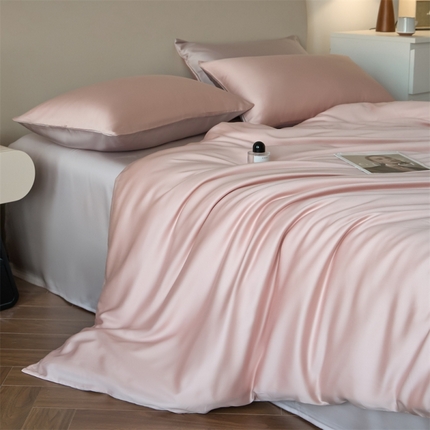 91家纺网 家纺一手货源 找家纺 （总）DC 2025新款B类60支天丝双拼四件套