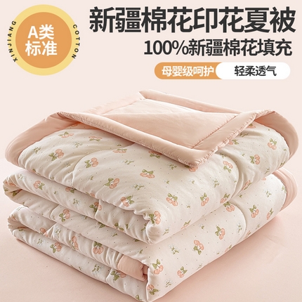 易博 2025新款100% 棉花小清新双层纱新疆棉夏被夏凉被空调被棉花被（带买家秀） 绵绵南瓜