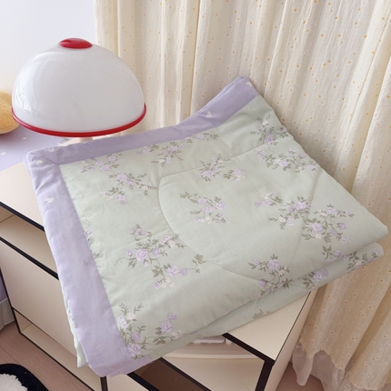 91家纺网 家纺一手货源 找家纺 （总）于果 2025新款全棉纯棉夏被夏凉被空调被四件套