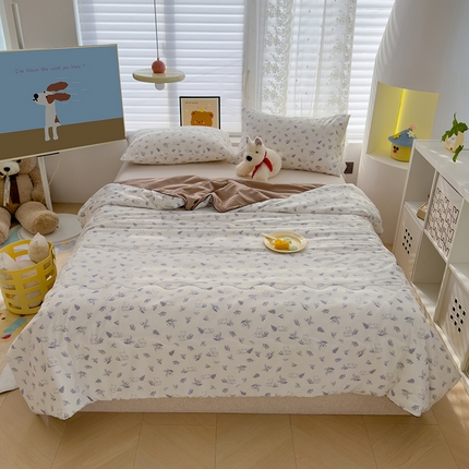 贝扬思 2025新款水洗皱皱纱系列夏被夏凉被空调被（风格一） 萌懒宝宝