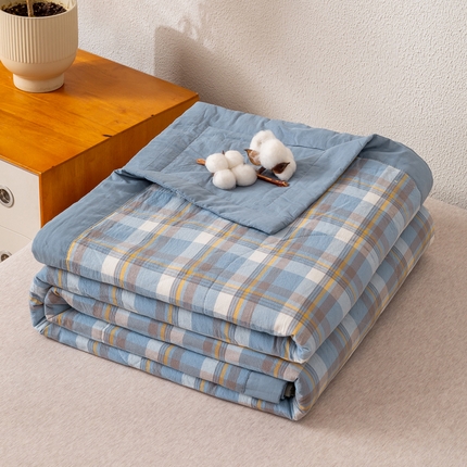 91家纺网 家纺一手货源 找家纺 （总）美梦之都2025新款A类色织水洗棉夏被新疆棉花被空调被夏凉被被子被芯