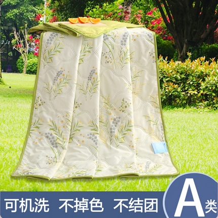 （总）2025新款纳米印花超声波夏被简约可机洗空调被夏凉被礼品被直播供货