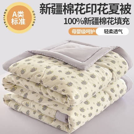 易博 2025新款100% 棉花小清新双层纱新疆棉夏被夏凉被空调被棉花被（带买家秀） 曼塔玫瑰