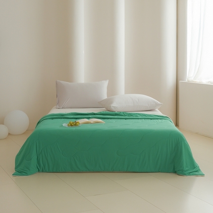 91家纺网 家纺一手货源 找家纺 丽卡家纺2025新款好爽鸭锦氨凉感夏被子被芯 翌绿+水绿