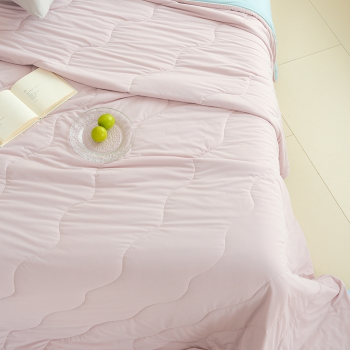 91家纺网 家纺一手货源 找家纺 （总）丽卡家纺2025新款好爽鸭锦氨凉感夏被子被芯