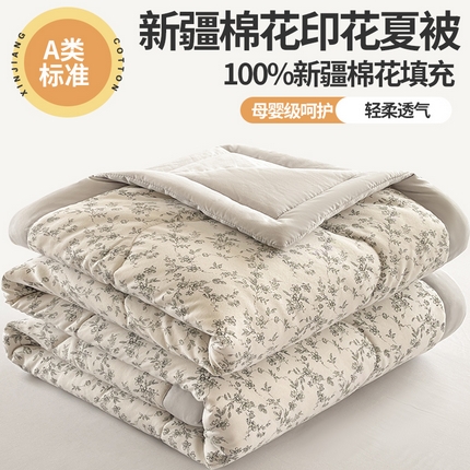 易博 2025新款100% 棉花小清新双层纱新疆棉夏被夏凉被空调被棉花被（带买家秀） 花趣