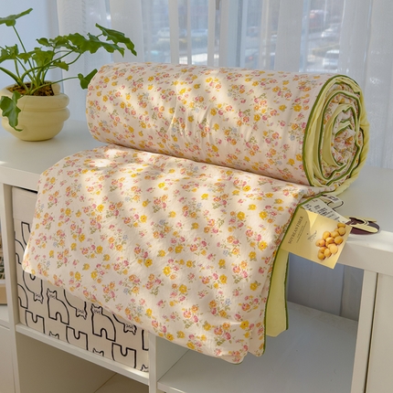 91家纺网 家纺一手货源 找家纺 贝扬思 2025新款水洗皱皱纱系列夏被夏凉被空调被（风格一） 久期诗朵-黄