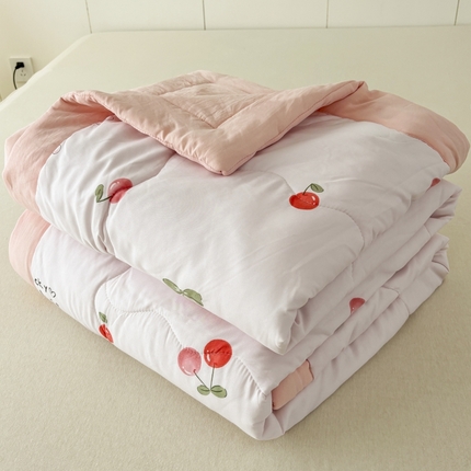 蕾诺2025春夏新款小清新系列水洗棉夏被夏凉被空调被 缦粉樱桃