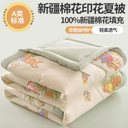 易博 2025新款100% 棉花小清新双层纱新疆棉夏被夏凉被空调被棉花被（带买家秀） 花园兔