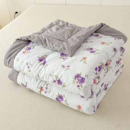 蕾诺2025春夏新款小清新系列水洗棉夏被夏凉被空调被 薰衣草