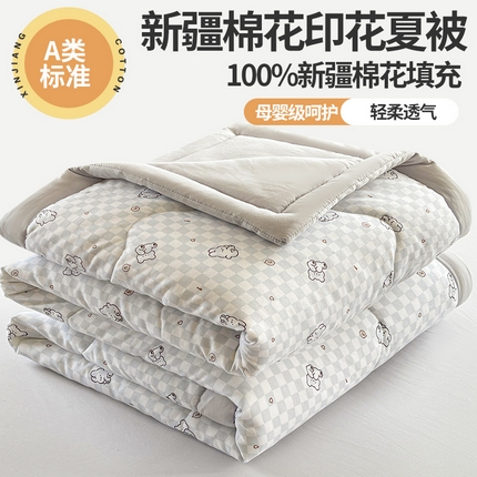 易博 2025新款100% 棉花小清新双层纱新疆棉夏被夏凉被空调被棉花被（带买家秀） 好丽友