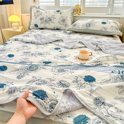 雯豆2025夏季新品冰丝碳光凉席+凉感丝印花夏被四件套卡通小清新绑带席子四件套 冰丝夏被四件套-诗韵