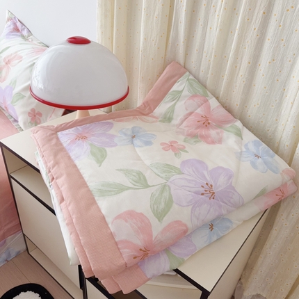 91家纺网 家纺一手货源 找家纺 （总）于果 2025新款全棉纯棉夏被夏凉被空调被四件套