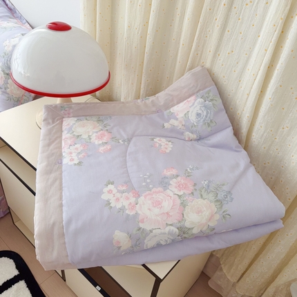 91家纺网 家纺一手货源 找家纺 （总）于果 2025新款全棉纯棉夏被夏凉被空调被四件套