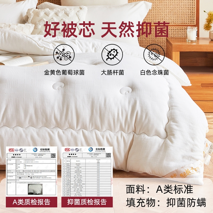 91家纺网 家纺一手货源 找家纺 （总）易睡 2025新款提花大豆被