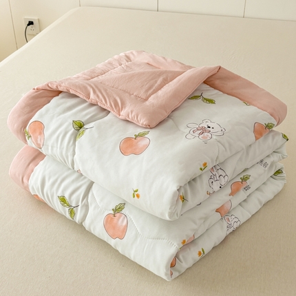 蕾诺2025春夏新款小清新系列水洗棉夏被夏凉被空调被 苹果少女