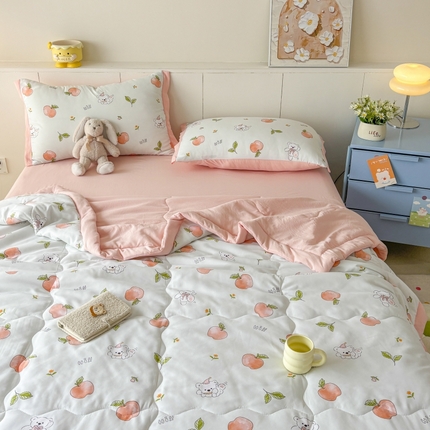 梦舒羽2025新款小清新系列水洗棉夏被 苹果少女