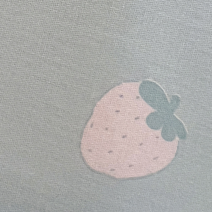 91家纺网 家纺一手货源 找家纺 拾物记 2025新款A类无荧光全喷气12868全棉B版单床单 恐龙乐园B版