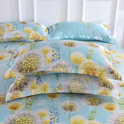 经年 2025新款印花丝绸冰丝四件套-单枕套 飞舞之恋