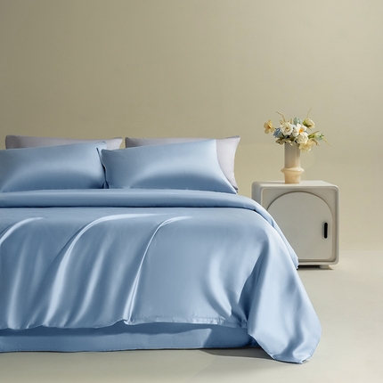 Mr.pig猪先生水洗棉 2025新款莱赛尔天丝四件套-风格一 伊莲青