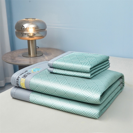 阿亮家居 2025新款凉席抗菌刺绣可水洗碳光冰丝席包边无纺布冰丝席 思绪 薄荷绿-床席款