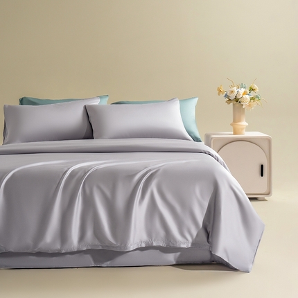 Mr.pig猪先生水洗棉 2025新款莱赛尔天丝四件套-风格一 气质灰