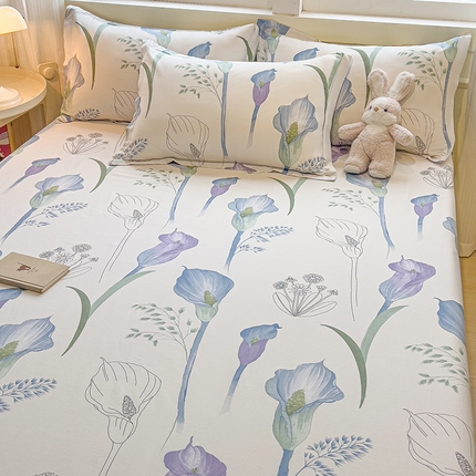 91家纺网 家纺一手货源 找家纺 （总）拾物记 2025新款A类无荧光全喷气全棉12868单床单