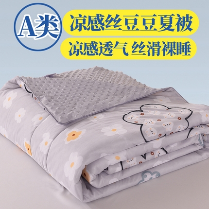 经年 2025新款A类凉感丝豆豆夏被 花盈-灰