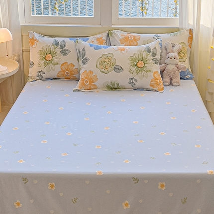 拾物记 2025新款A类无荧光全喷气12868全棉B版单床单 南笙梦境B版