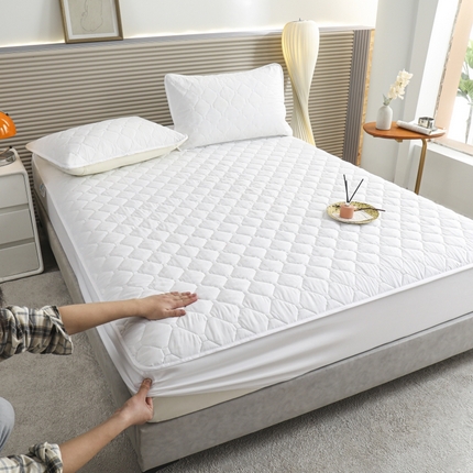 慕克斯  2025新款原棉大豆抗菌夹棉防水床笠床垫保护罩-四季跑量款 象牙白
