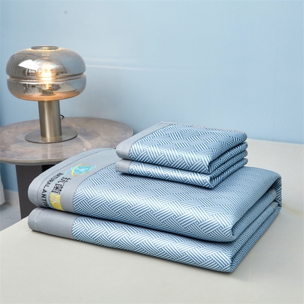 阿亮家居 2025新款凉席抗菌刺绣可水洗碳光冰丝席包边无纺布冰丝席 思绪 静谧蓝-床席款