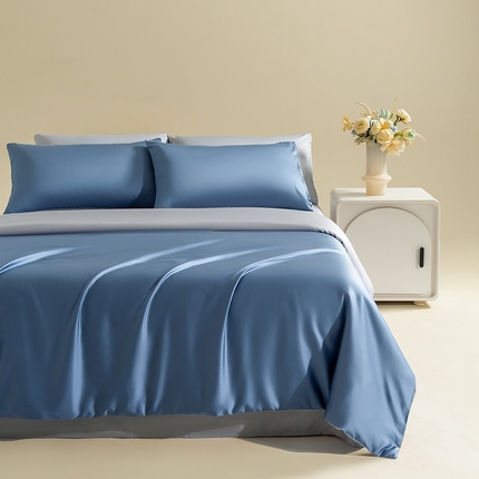 Mr.pig猪先生水洗棉 2025新款莱赛尔天丝四件套-风格一 双拼中兰+气质灰