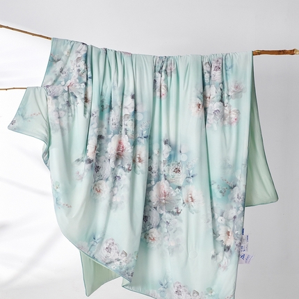 91家纺网 家纺一手货源 找家纺 缔锦家纺 2025新款凉感丝印花夏被 淡雅云影