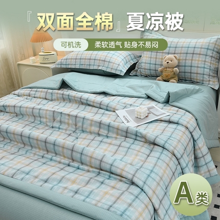 湘雪 2025新款双面全棉印花夏被可机洗小清新纯棉夏凉被薄被芯空调被子 格韵