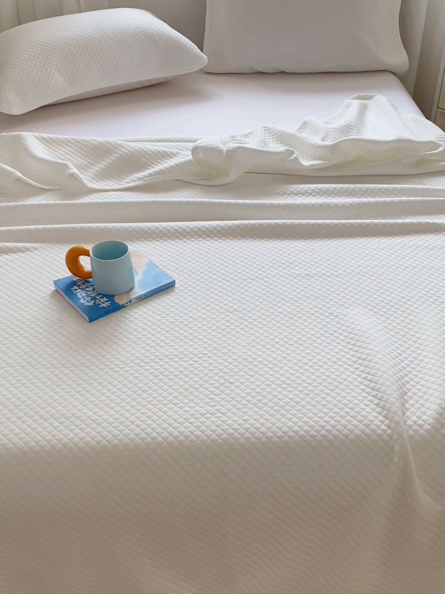 91家纺网 家纺一手货源 找家纺 来菲毛毯 2025新款全棉针织全面盖毯床单夏被被子被芯 菱雪白