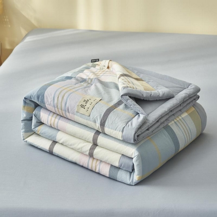 寐绸家纺 2025新款纯棉水洗棉无印风新疆棉花夏被四件套 诺卡大格