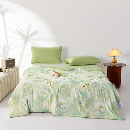 缔锦家纺 2025新款凉感丝印花夏被 悦夏