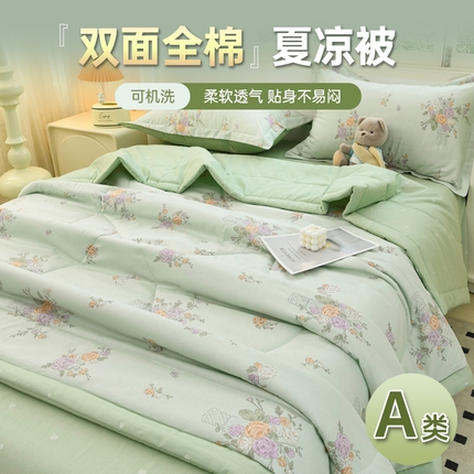 湘雪 2025新款双面全棉印花夏被可机洗小清新纯棉夏凉被薄被芯空调被子 风吟知音